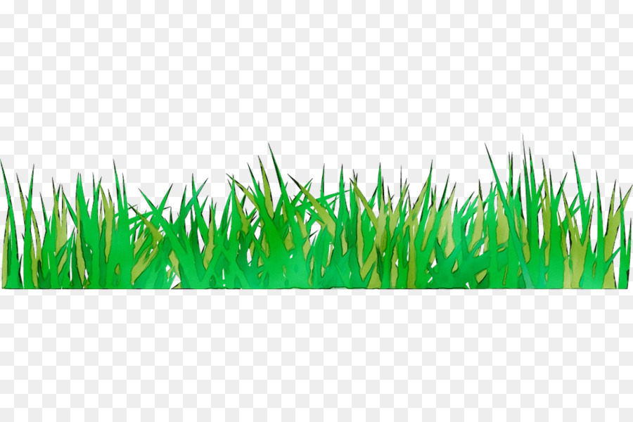 Wheatgrass Green Commodity - 