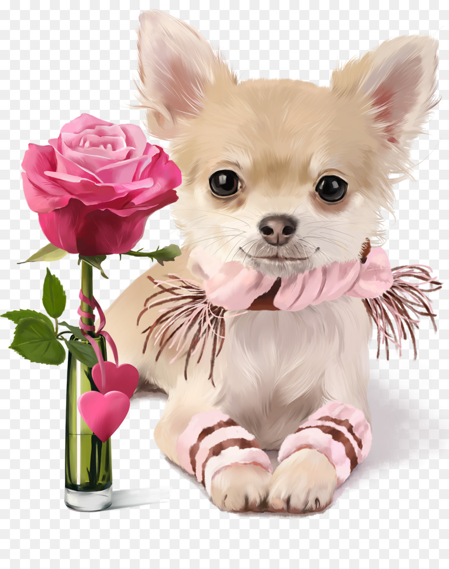 Chihuahua Puppy Pug Tranh Hình ảnh - con chó con