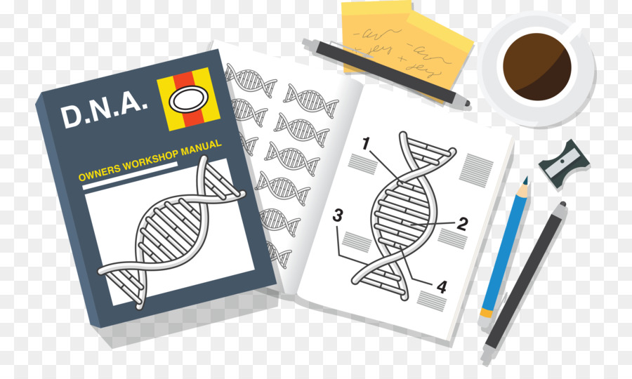 Anno 13 Biologia Scienza Biotecnologia CRISPR - fasci infografica