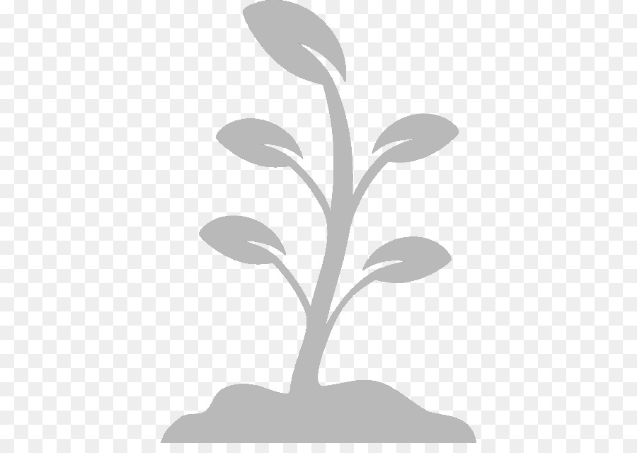 Foglia di sementi Clip art - piante