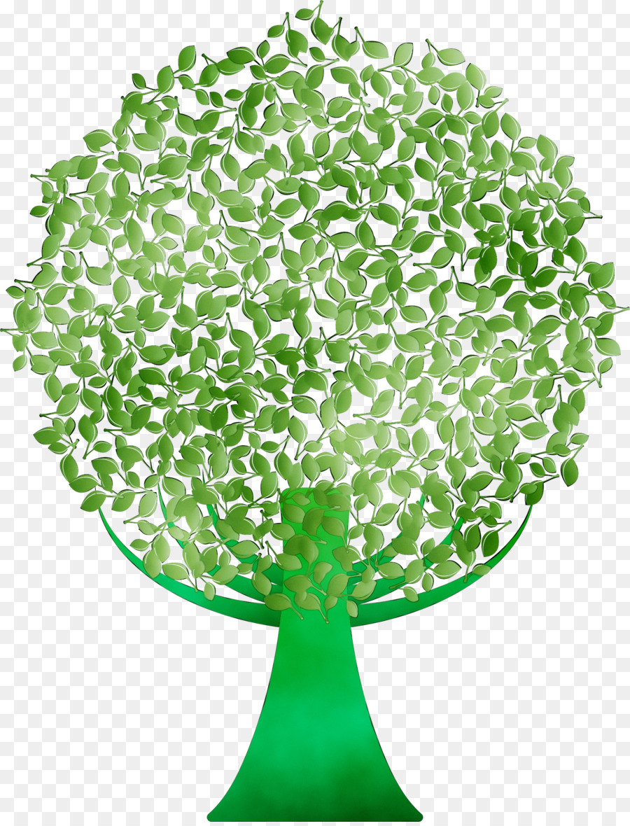 Albero verde foglia - 