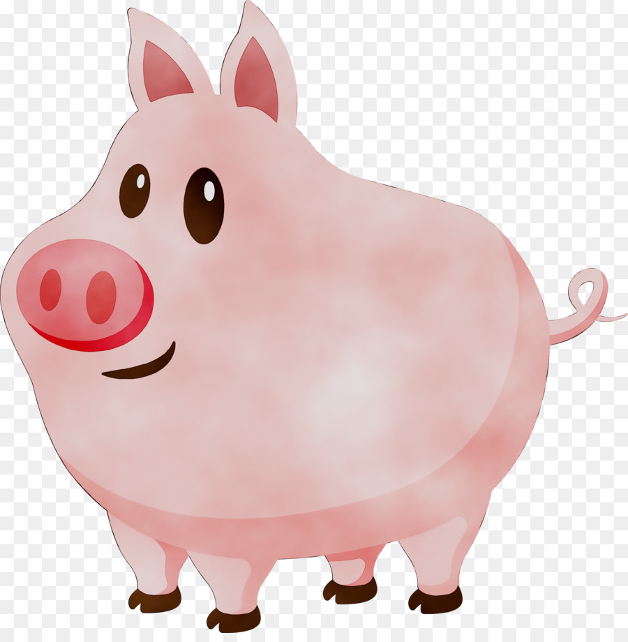 Schwein Schnauze Tier - 
