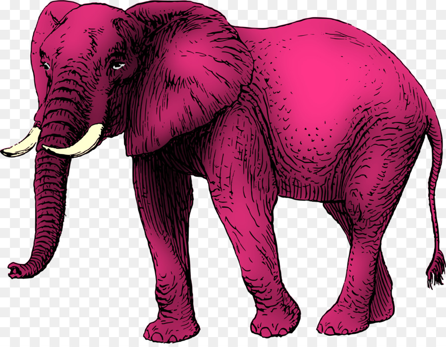 Baby Elephant Cartoon png download - 2400*1849 - Free Transparent African  Elephant png Download. - CleanPNG / KissPNG