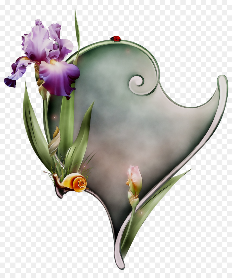 Pianta a fioritura Viola Piante - 