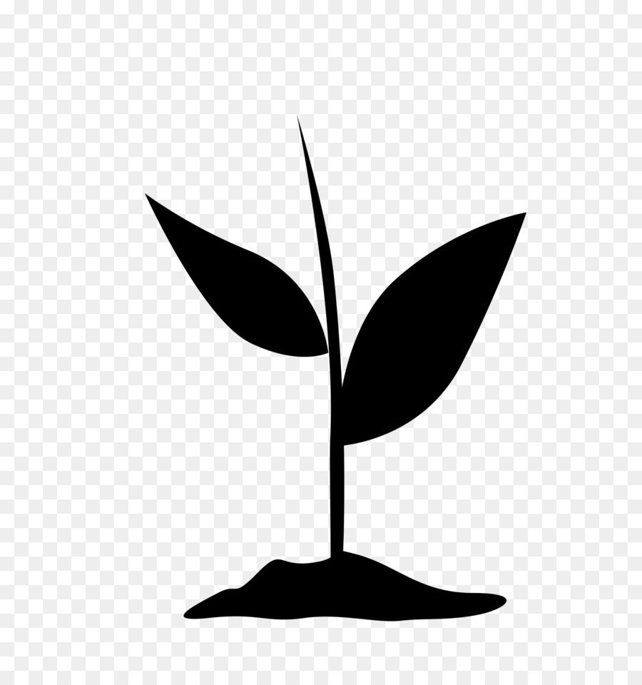 Leaf Plant stemma Clip Art Silhouette Branching - 