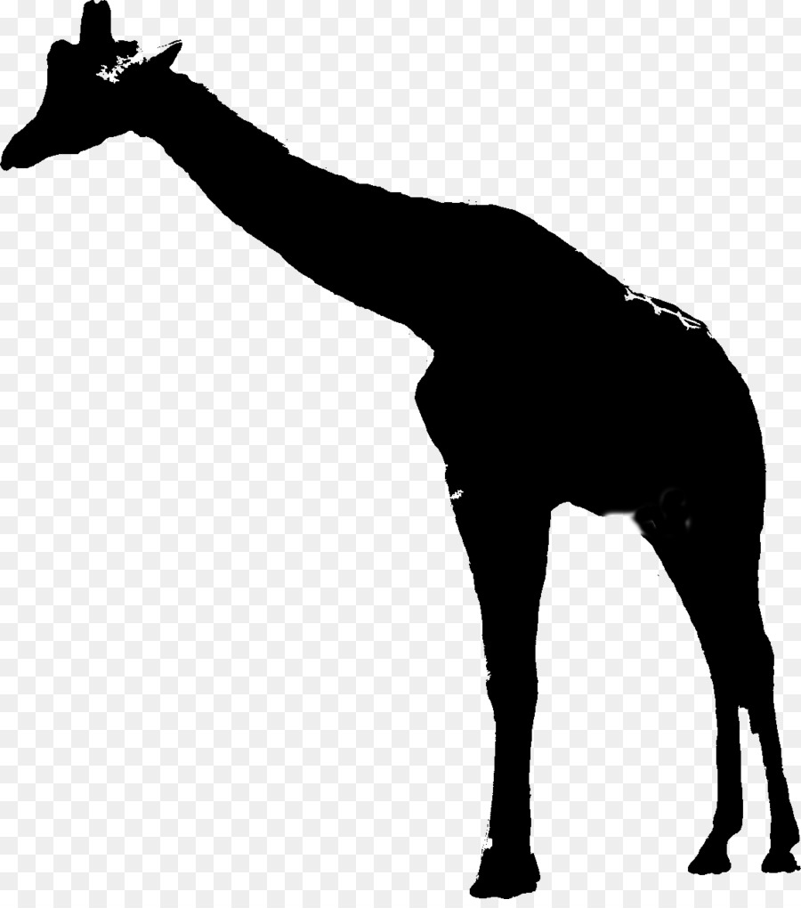 Giraffe Mustang Mane Neck Pack Tier - 