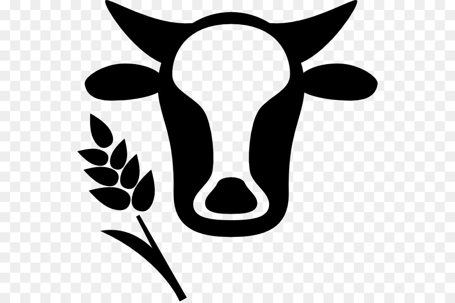 Holstein Friesian Vieh Milchviehhaltung Landwirtschaft - 