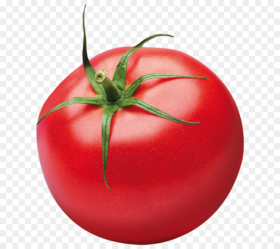 Tomato Cartoon