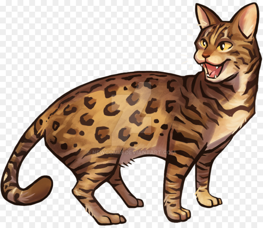 Cat Cartoon png download - 960*832 - Free Transparent Bengal Cat png  Download. - CleanPNG / KissPNG