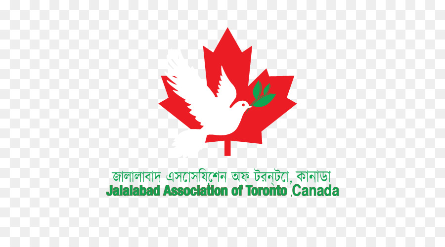 Bandiera del Canada, T shirt foglia d'Acero - Canada