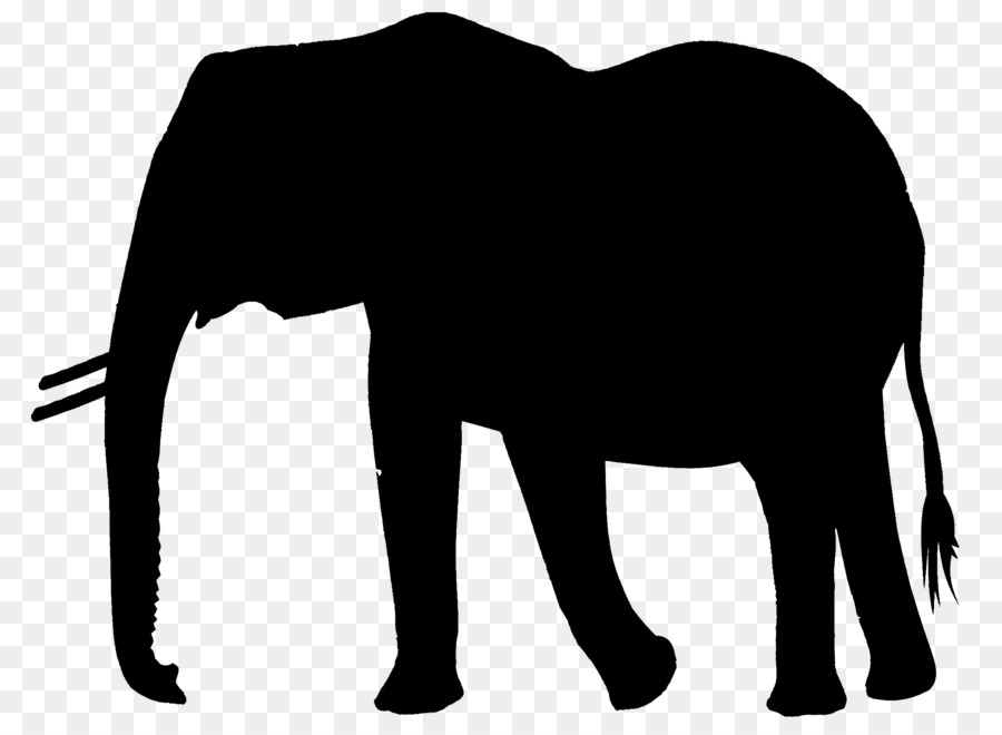 Indischer Elefant afrikanischer Elefant Pferd Rind Säugetier - 