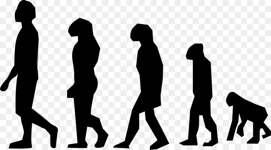 Evolution Wirbeltierorganismus Neandertaler Mensch - 