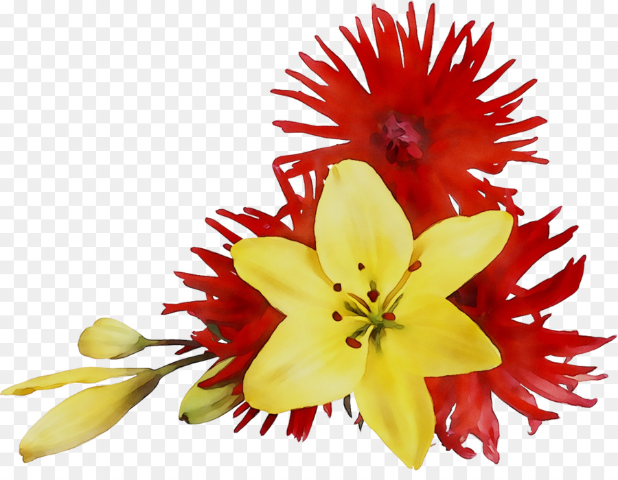Blumenmuster Schnittblumen Lilie der Inkas - 