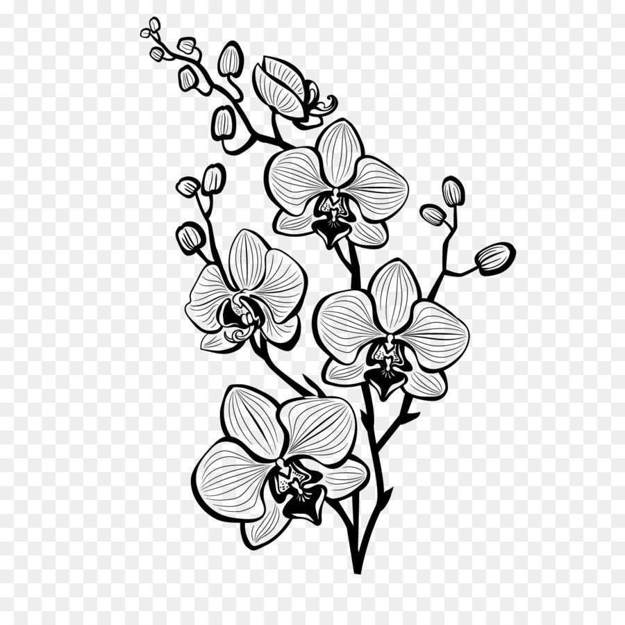 / m / 02csf ClipArt Blumenmuster Schnittblumen Zeichnen - 