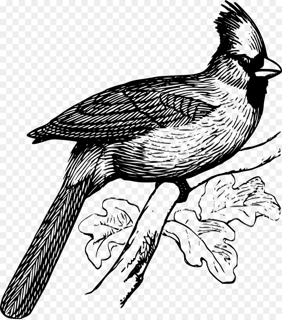 Illustrazione del disegno di clipart dell'uccello del falco - 