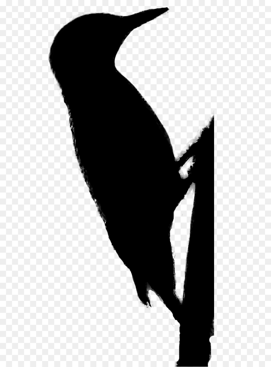 Beak Flightless uccello ClipArt Silhouette - 