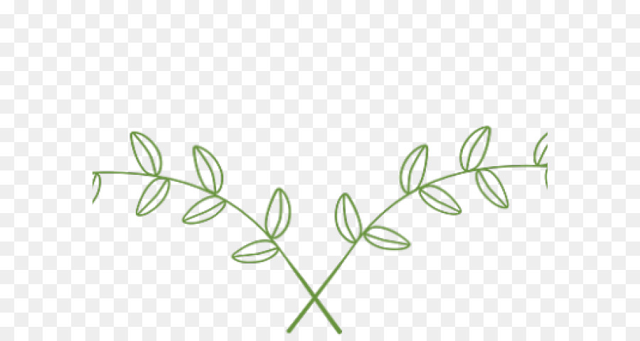 Erba della pianta Fiore foglia Clip art Grasses - Rustico