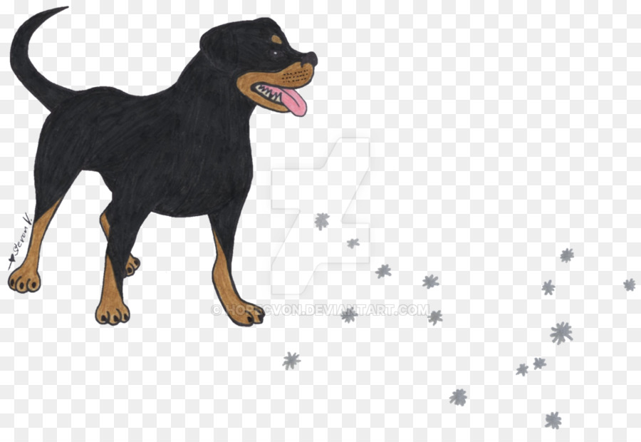 Manchester Terrier Rottweiler Dog alleva razze autoctone vulnerabili - sfondo bernese