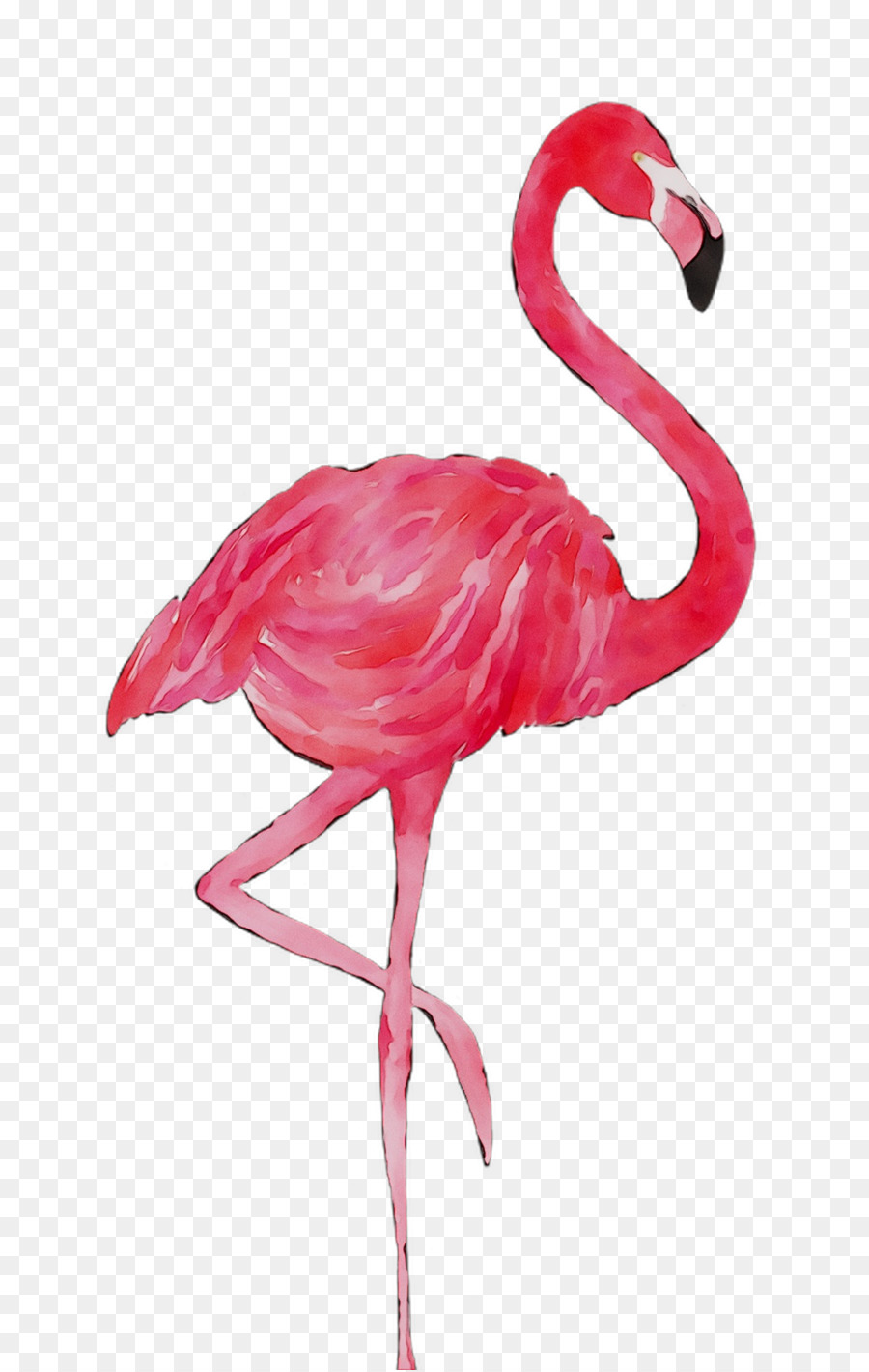 Flamingo T-Shirt Flamingo T-Shirt Oberteil - 