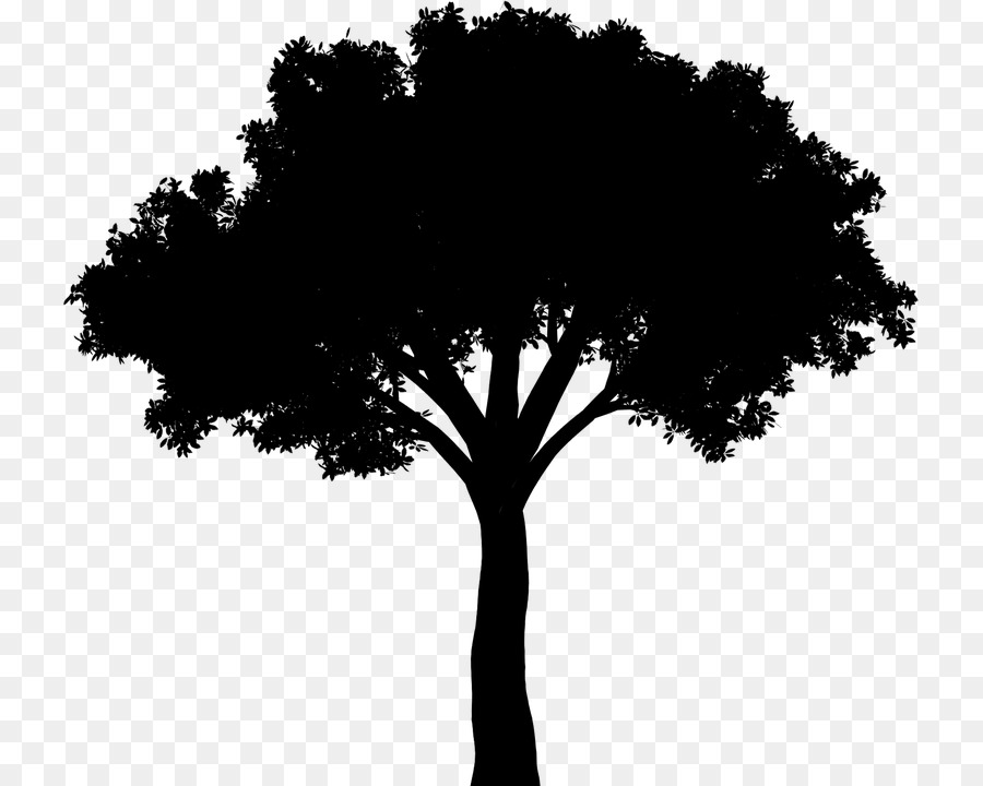 Oak Tree Silhouette
