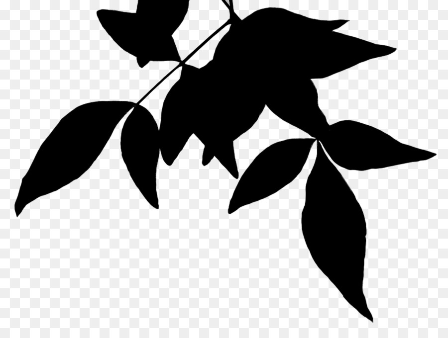Black & White - M Silhouette Flower Leaf - 