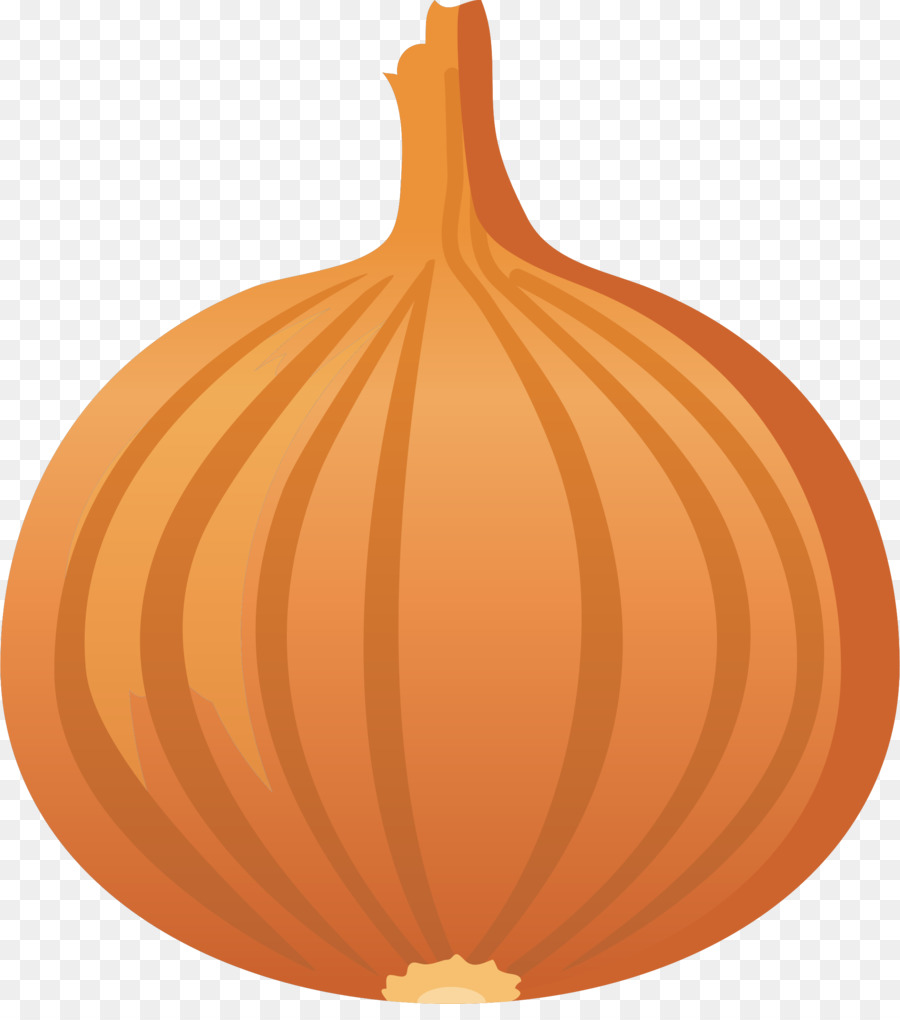 Onion Cartoon png download - 2115*2359 - Free Transparent Yellow Onion png  Download. - CleanPNG / KissPNG
