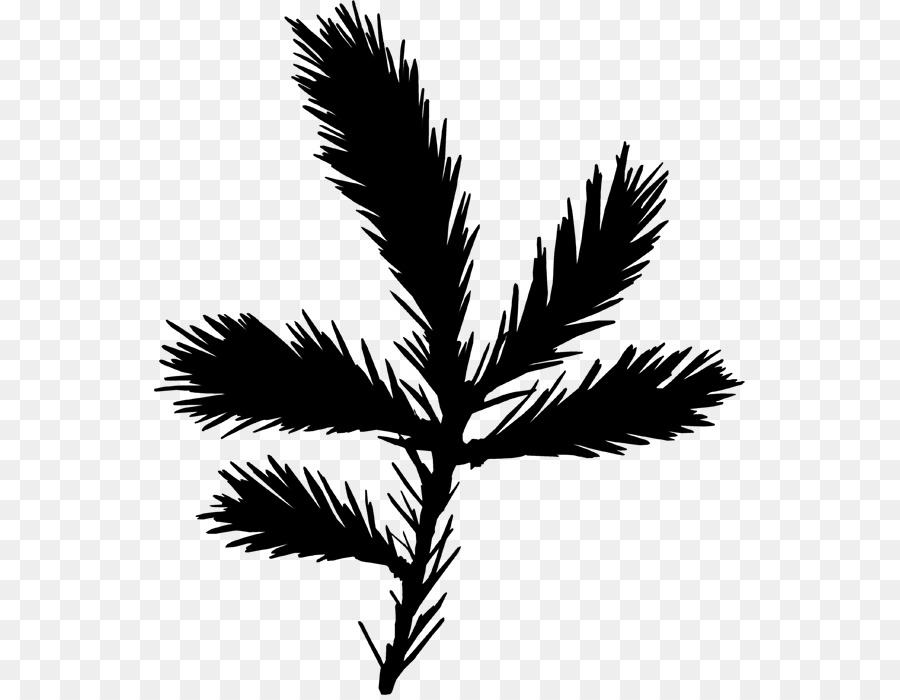 Twig Black & White - M Leaf Plant stelo Palme - 
