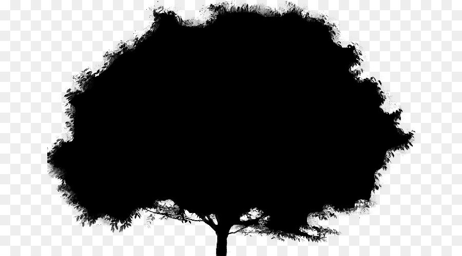 Baum Black & White - M Silhouette Leaf Sky - 