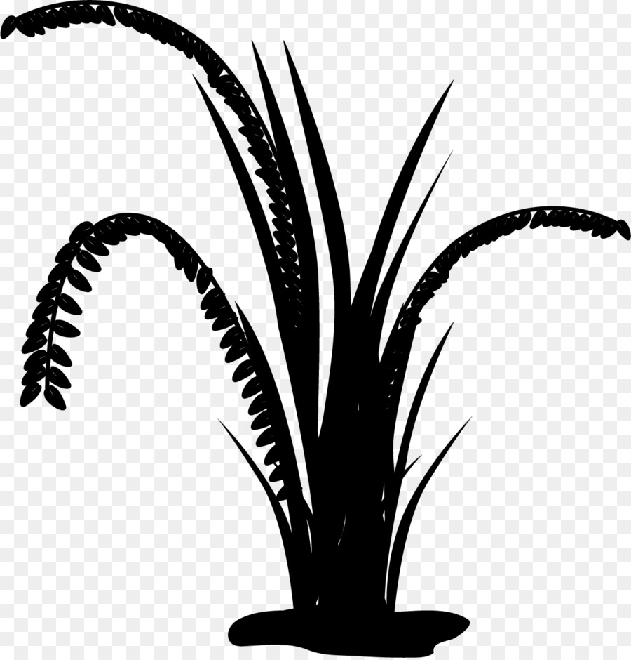 Palmo della data Bianco e nero - M Palme Foglia Stelo della pianta - 