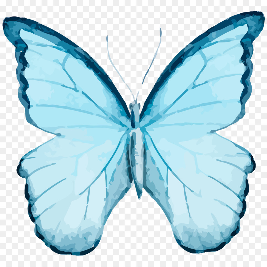 Bướm Clip nghệ thuật đồ họa Vector Hình ảnh Minh họa - bướm