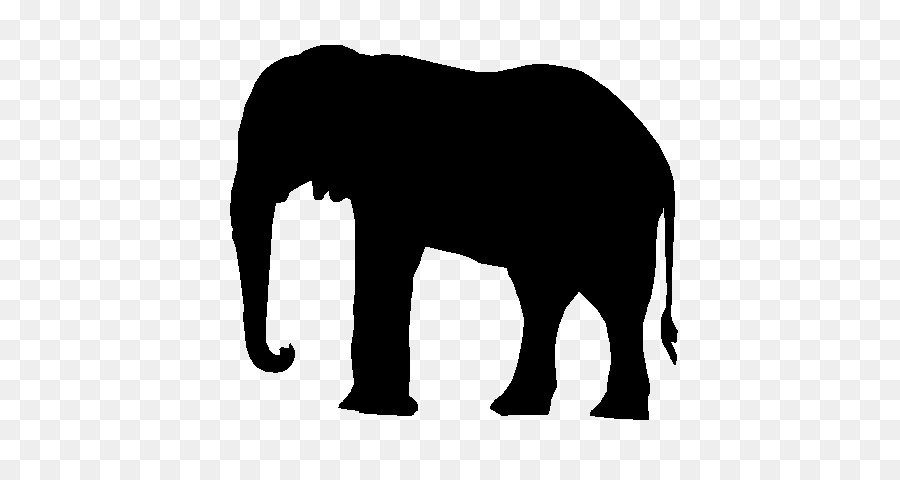 Indischer Elefant des afrikanischen Elefanten Black & White - M terrestrisches Tier - 