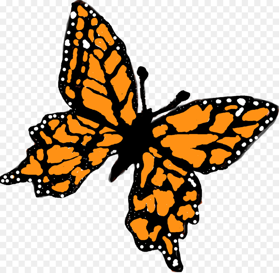 Farfalla monarca Farfalle dai piedi a spazzola Insetto Butterfly gardening - farfalla