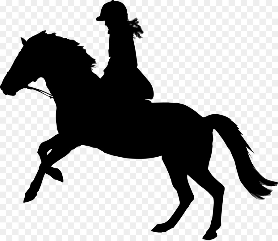 Mustang Vector graphics Equitazione Illustrazione di equitazione inglese - 
