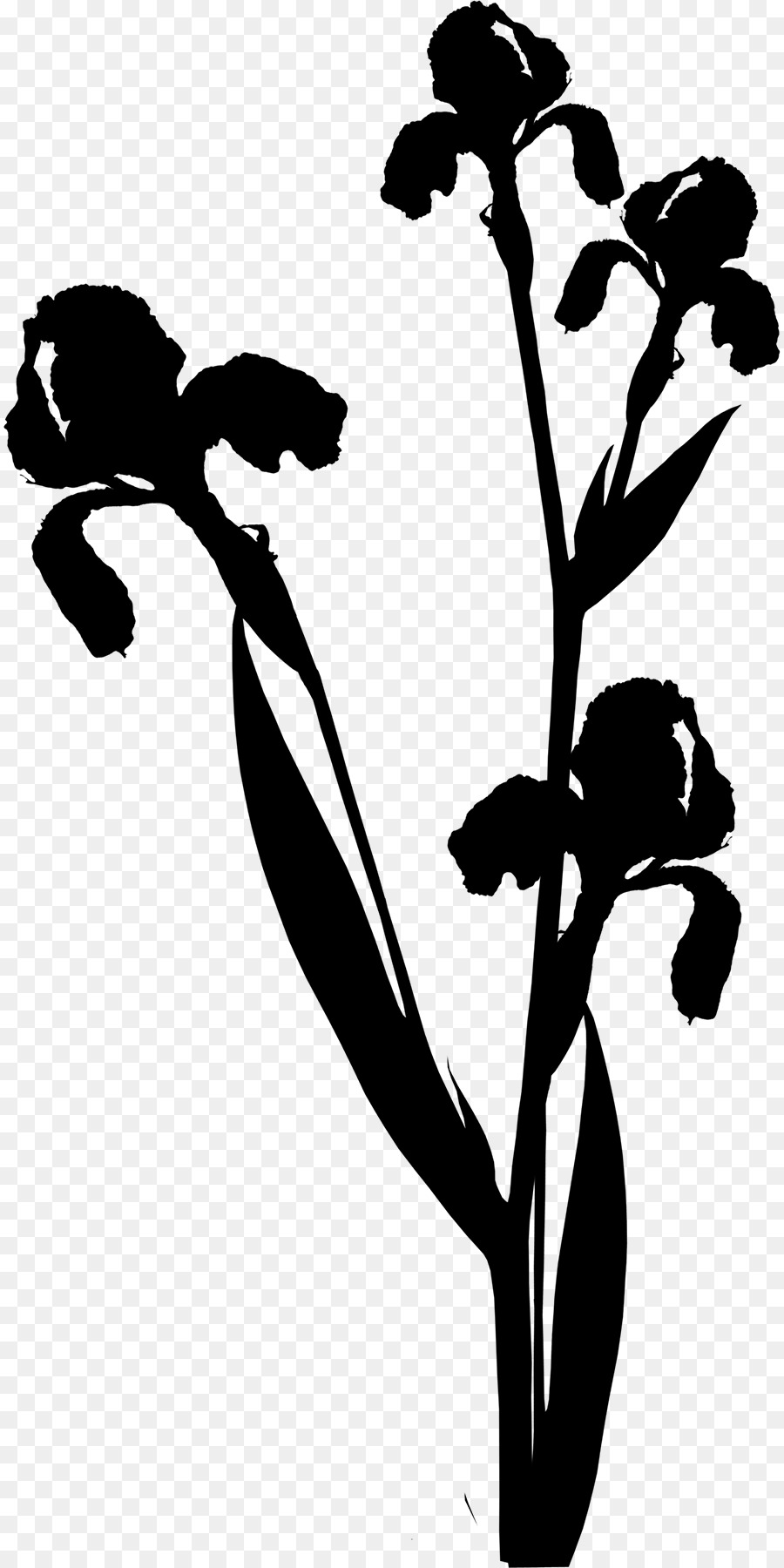 ClipArt Black & White   M Blumenblatt Pflanzenstamm - 