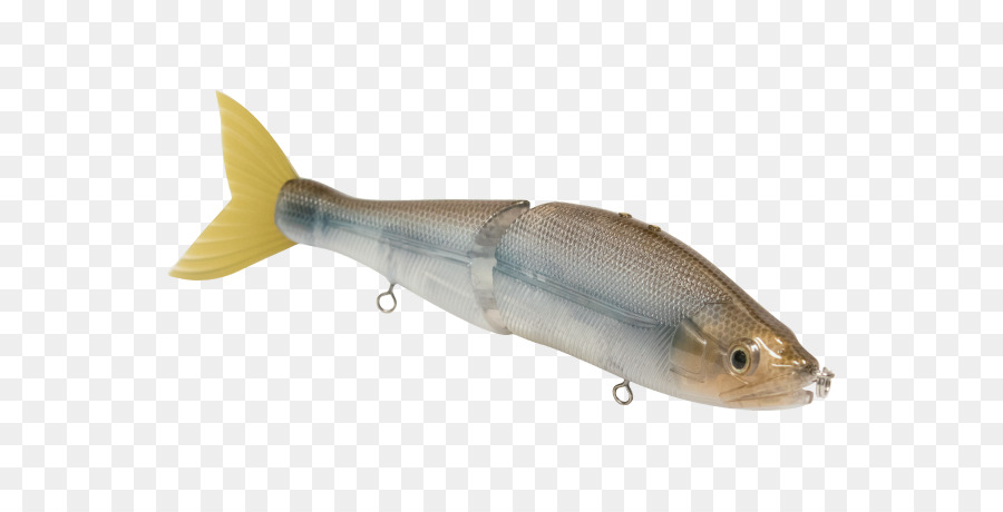 Spoon lure Milkfish Osmeriformes Herring Pesce azzurro - 