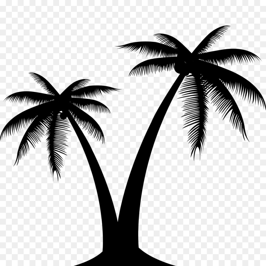 Grafica vettoriale Clip art Palm Trees Portable Network Graphics Image - 