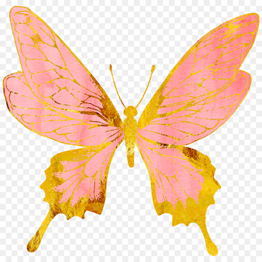 ClipArt Portable Network Graphics Immagine Wallpaper di farfalle - farfalla