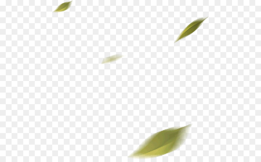Leaf Portable Network Graphics Tencent QQ Image Fighting Star - foglia