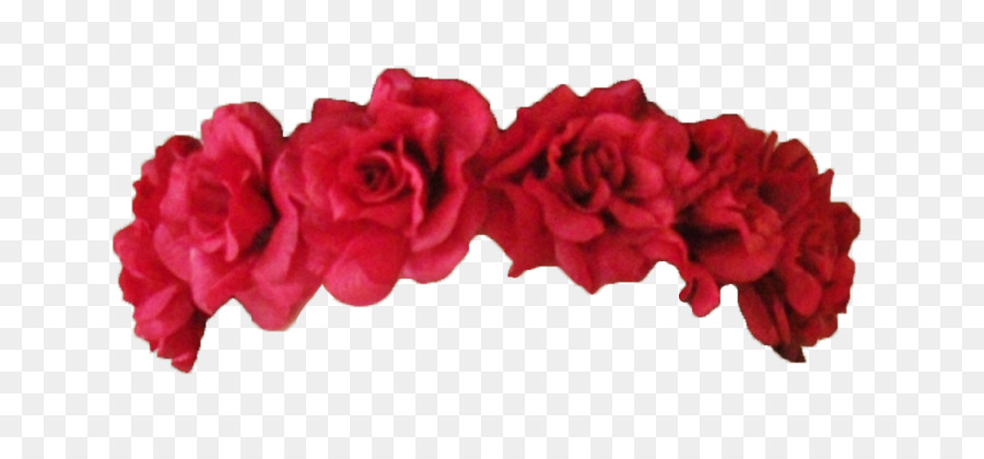 ClipArt Tragbare Netzwerkgrafiken Rose Flower Crown - Rose