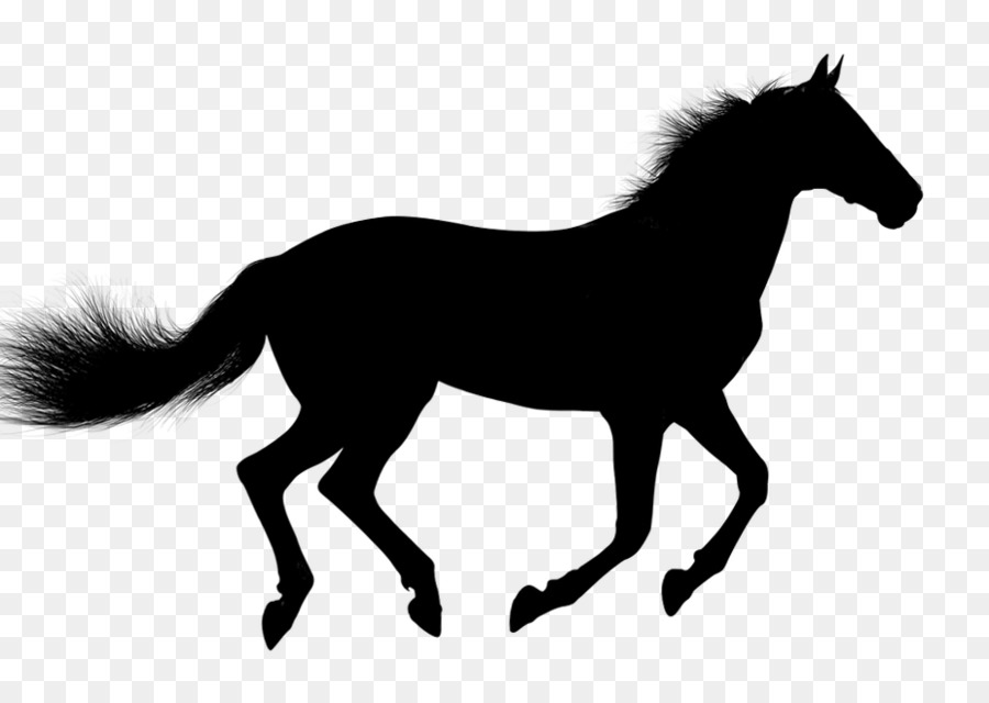 Grafica vettoriale di cavallo arabo mustang pony clip art - 
