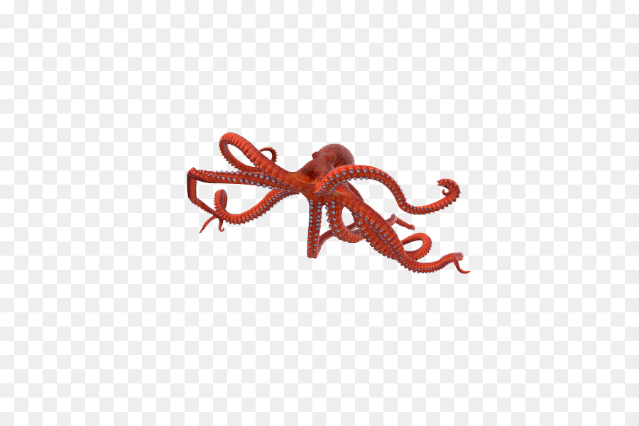 Octopus Image Graphic Design 3D-Computergrafik - 