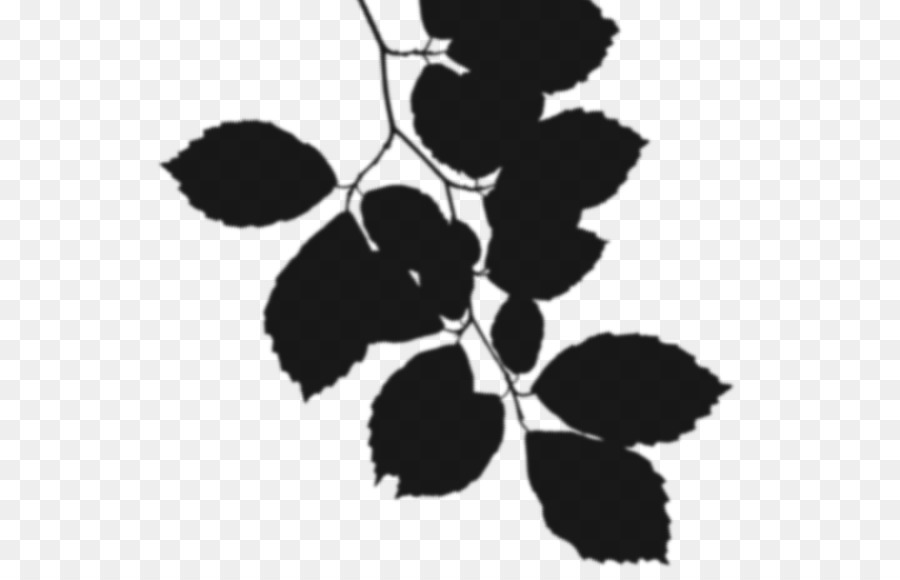 Black & White - M Pattern Silhouette Fruit Leaf - 