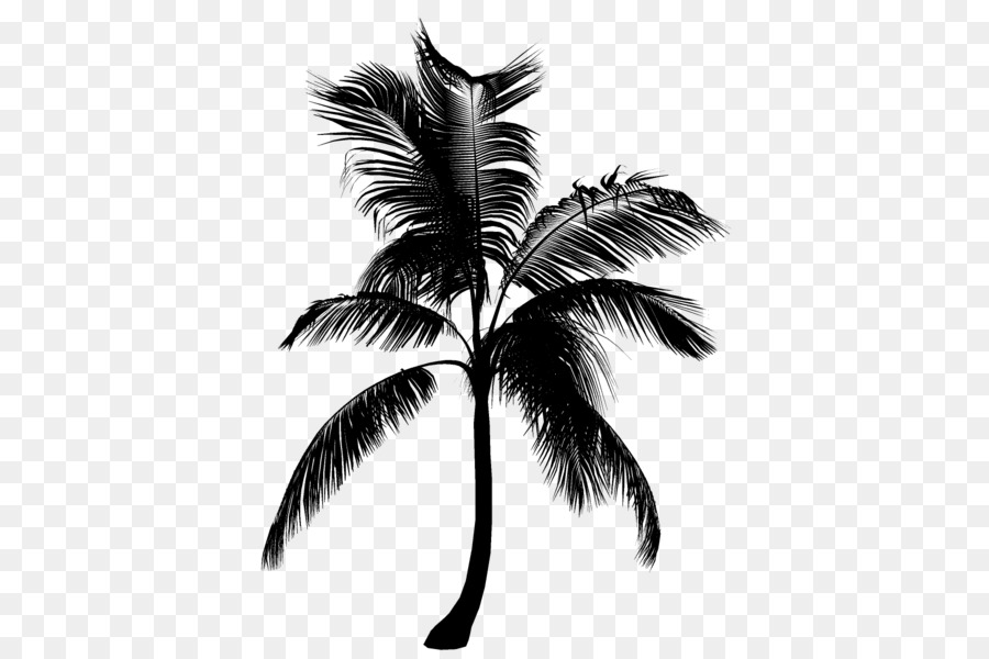white palm tree silhouette png