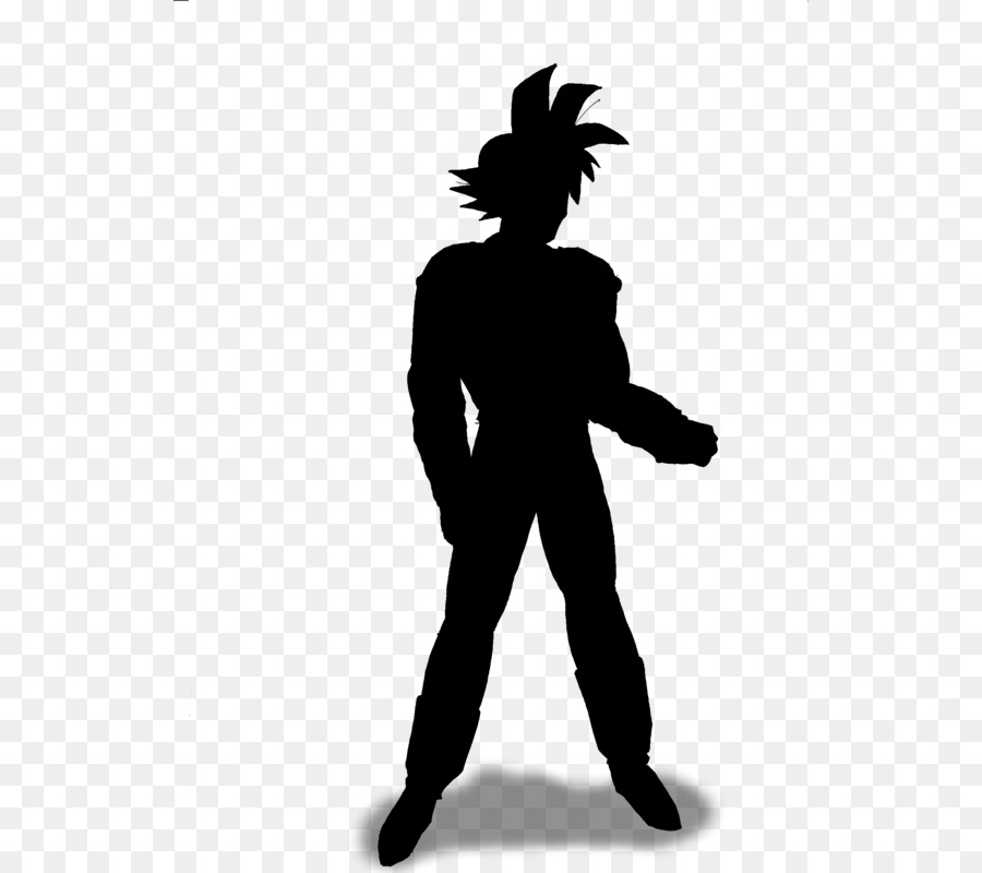 Silhouette Standing