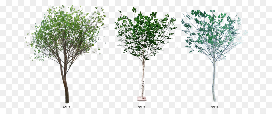 Grafica di rete portatile Adobe Photoshop Tree Shrub Sauce - paesaggistica