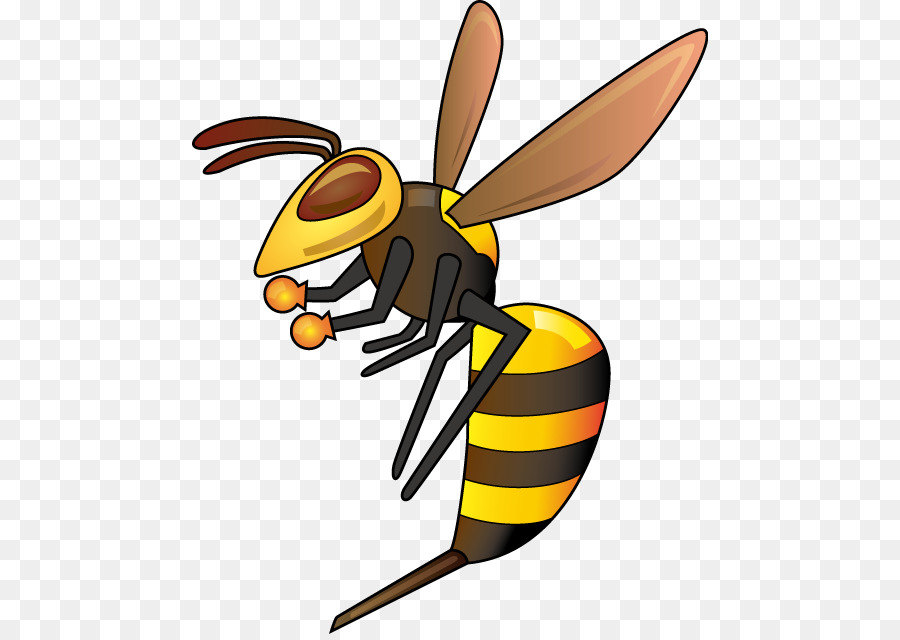 Insekt Echte Wespen Bienenschaden - Insekt