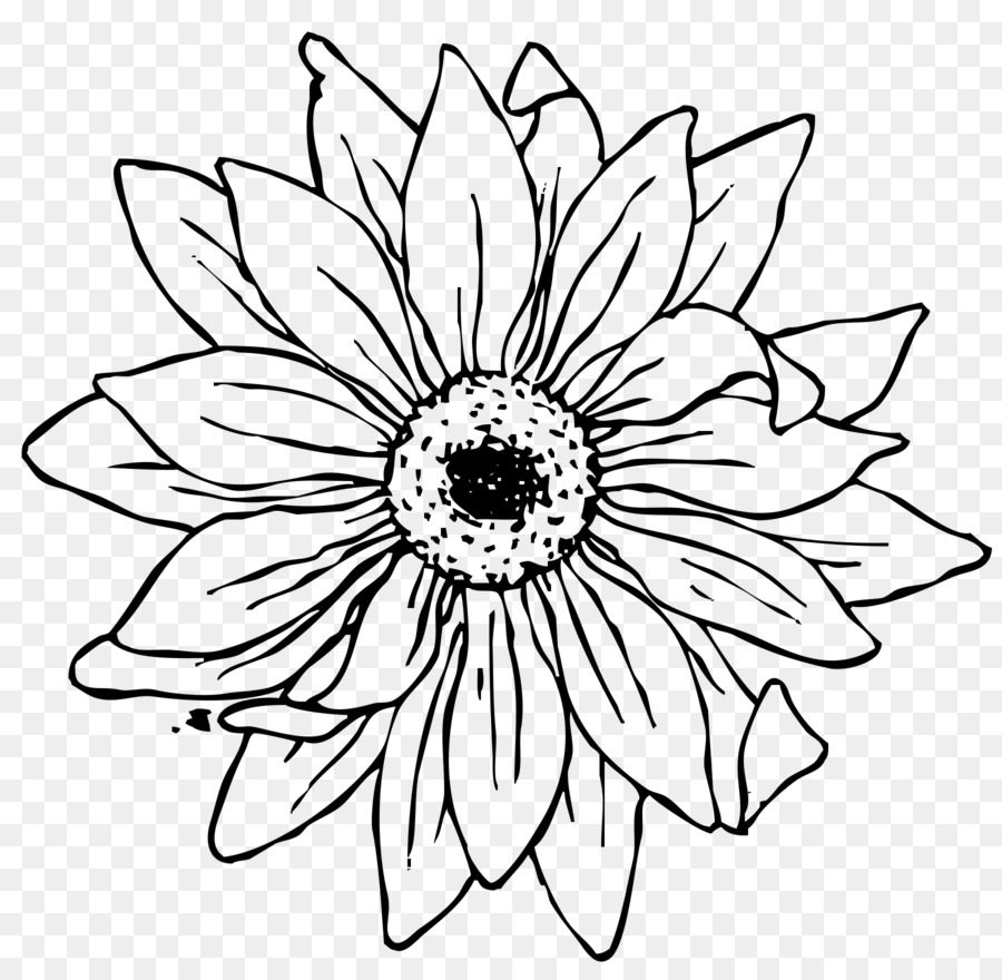 Line Art, Coloring Book, Drawing, Flower, Black And White , Cartoon, Common...