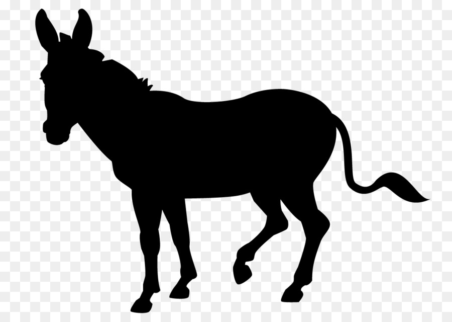 Mustang Stallion Mare Donkey Bridle - 