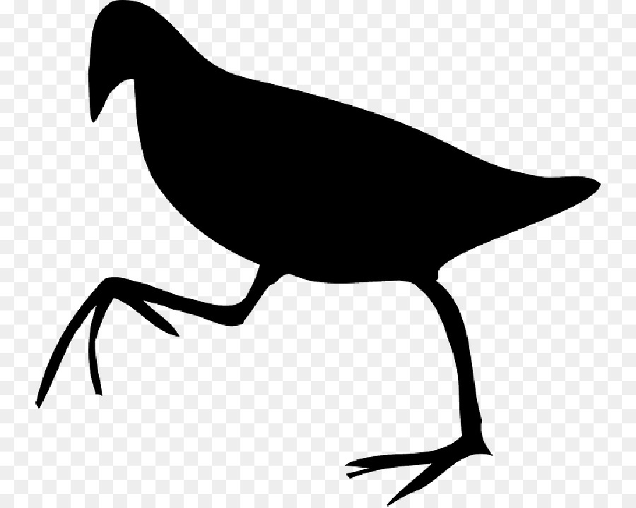 Beak Bird Clip nghệ thuật Fauna Thiên nga - 