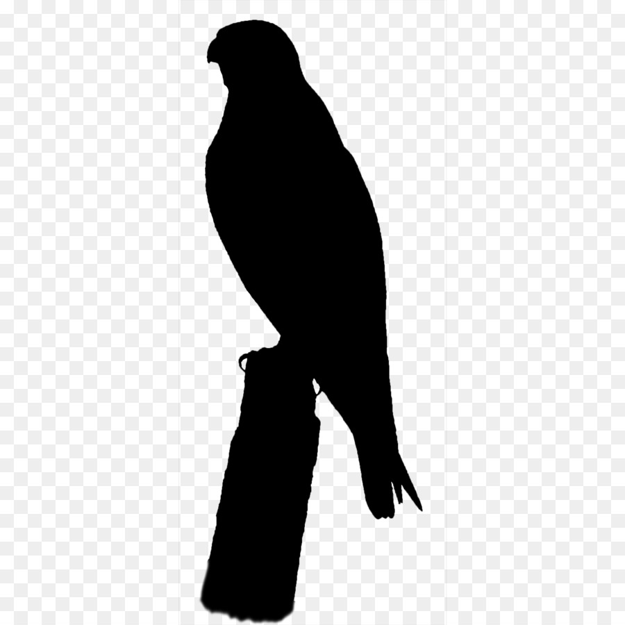 Beak Bird của con mồi Silhouette - 